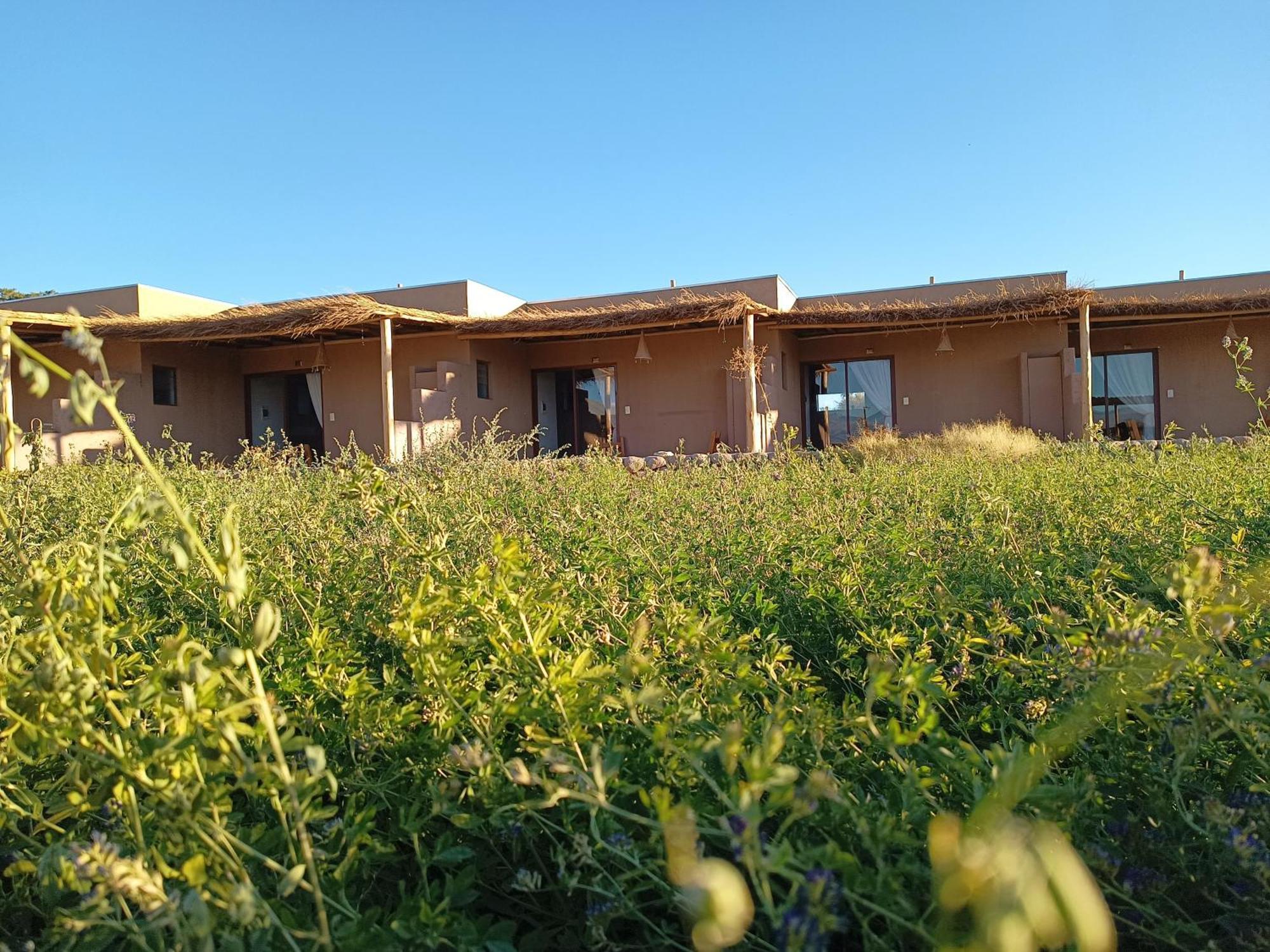Tiunur Lodge Solor Exterior photo